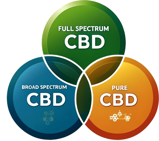 Understanding the Different Types of CBD: Full Spectrum, Broad Spectrum, and Isolate