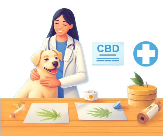 Is CBD Safe for Pets? What Pet Owners Should Know