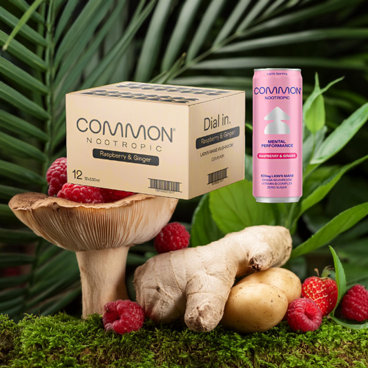 12 x COMMON 500mg Lions Mane Raspberry & Ginger Sparkling Drink - 330ml