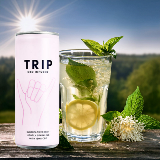 12 x TRIP 15mg CBD Infused Elderflower & Mint Drink 250ml