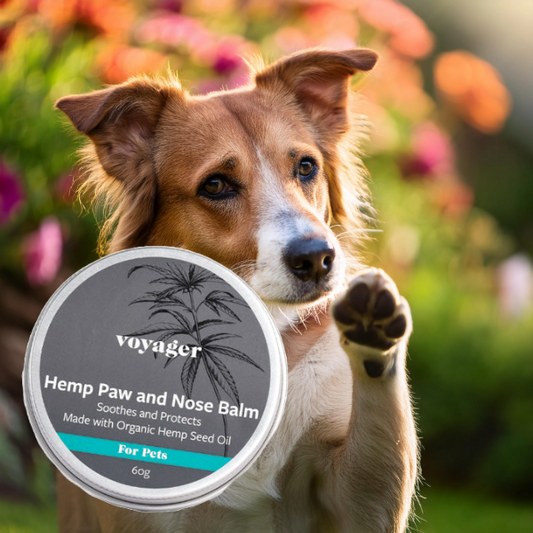 Voyager Pets Hemp Paw & Nose Balm - 60g