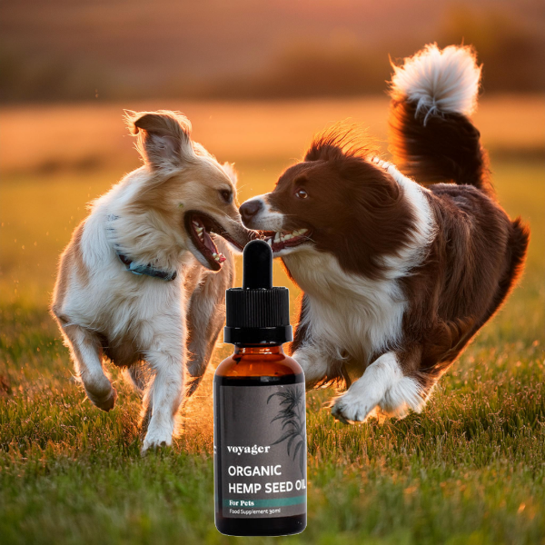 Voyager Pets Organic Hemp Seed Oil - 30ml